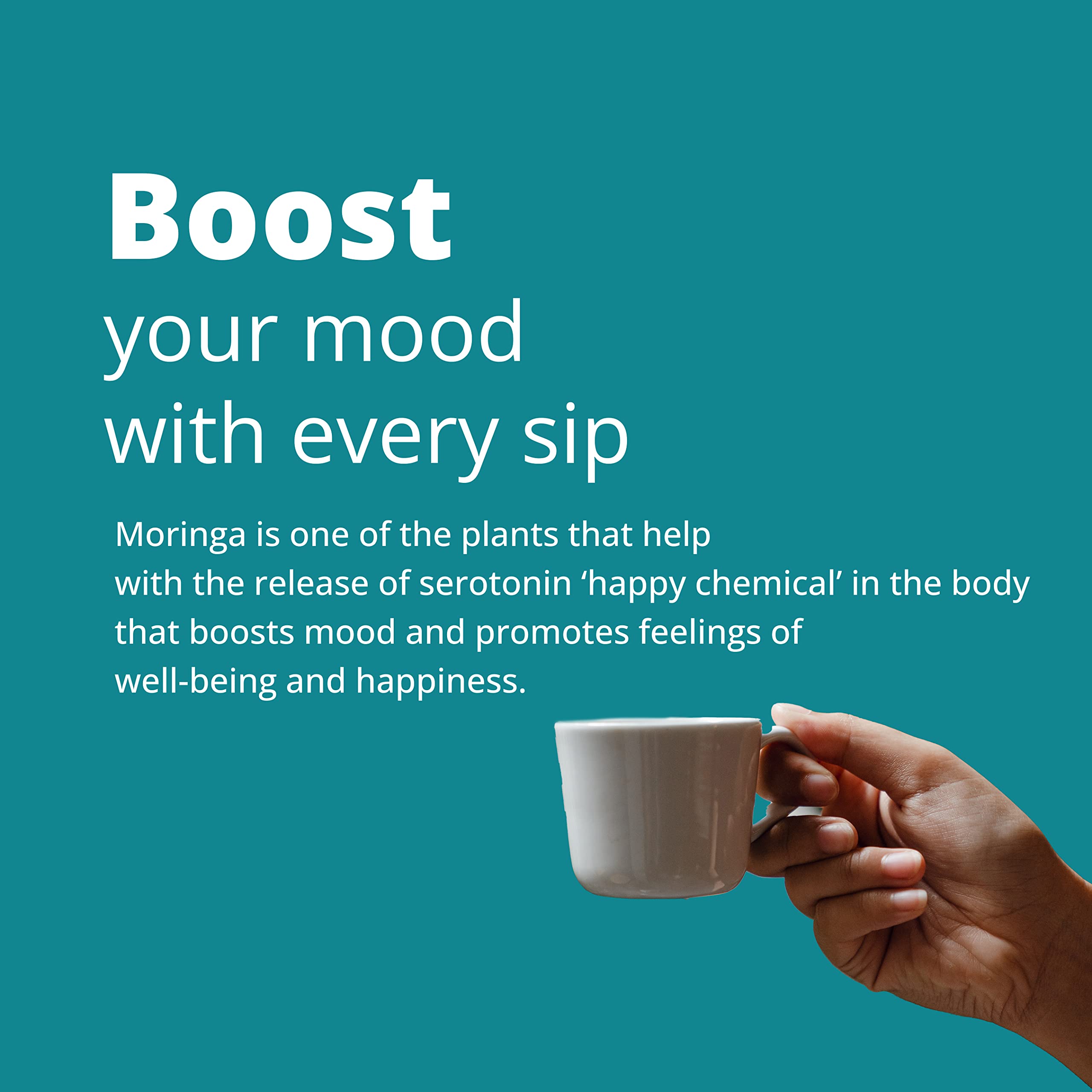 Organic Moringa Tea Bags - 40 Count | Caffeine-Free Herbal Tea Blend with Dried Moringa Leaves, Peppermint & Holy Basil | Natural Immune Support | Perfect for Relaxation, Detox & Wellness Routine
