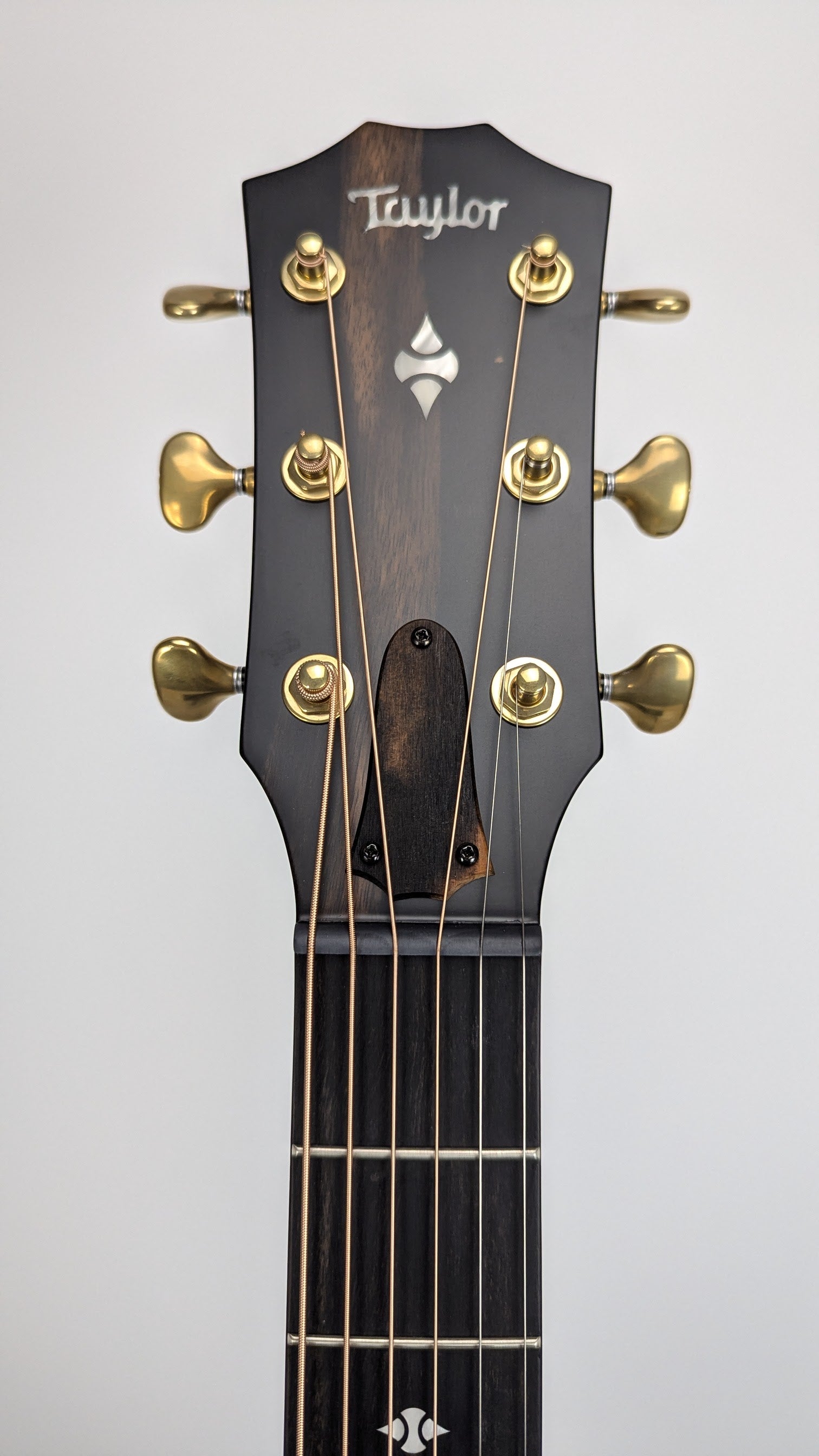 Taylor Builder's Edition 324ce Acoustic-Electric Guitar (SN:4034) - Perfect for Live Performances, Studio Recording & Home Practice