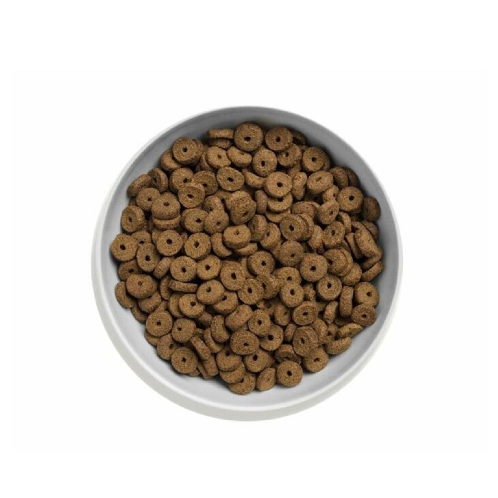Grain-Free Chicken Recipe Dry Cat Food for Healthy Weight & Senior Cats - Supports Digestion & Joint Health for Indoor & Outdoor Cats
