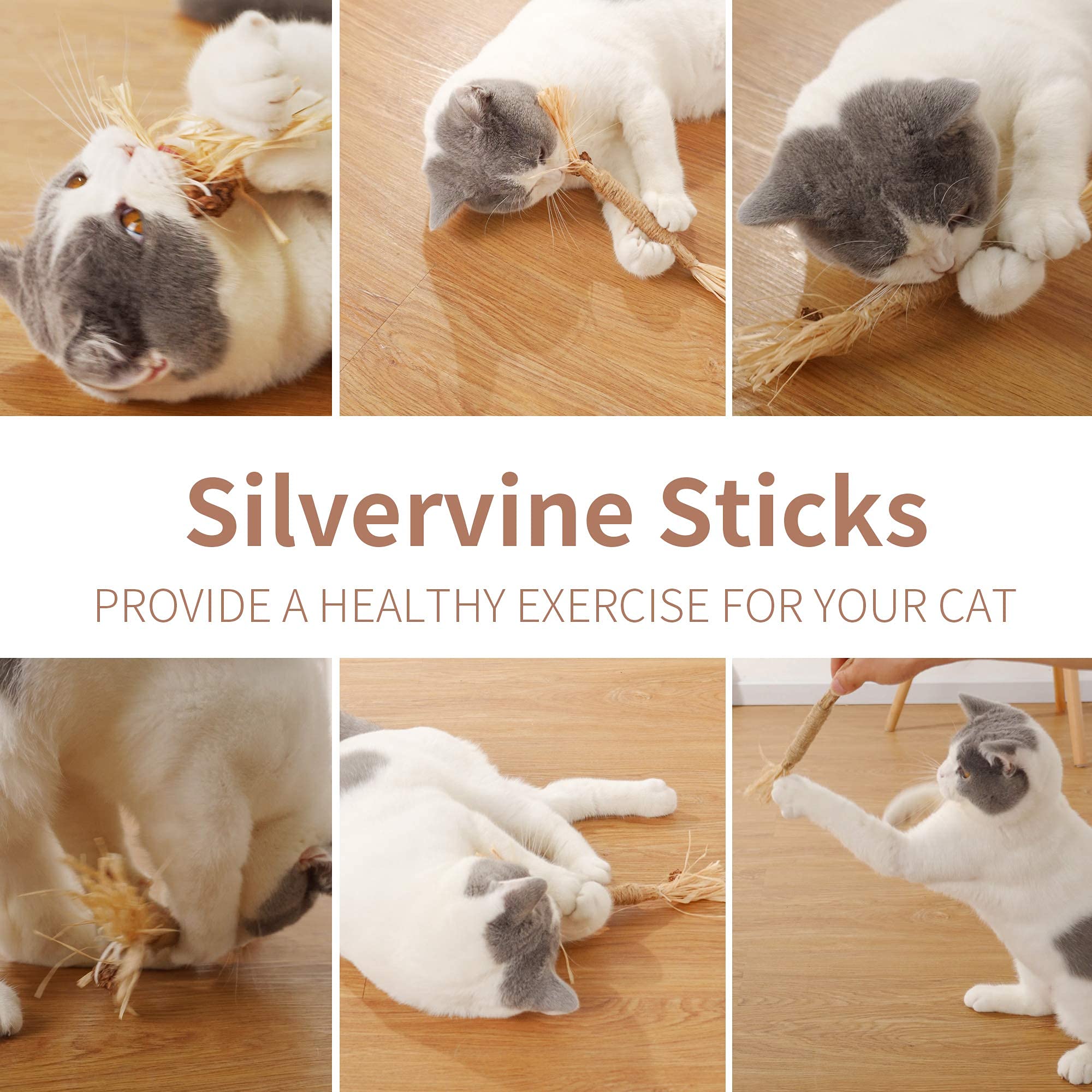 PAZ'S GIFT Natural Catnip & Silvervine Cat Toys - 2 Pack Raffia Chew Sticks for Teeth Cleaning, Interactive Kitten Teething Toy, Dental Care & Play for Indoor Cats - Perfect for Playtime & Stress Relief