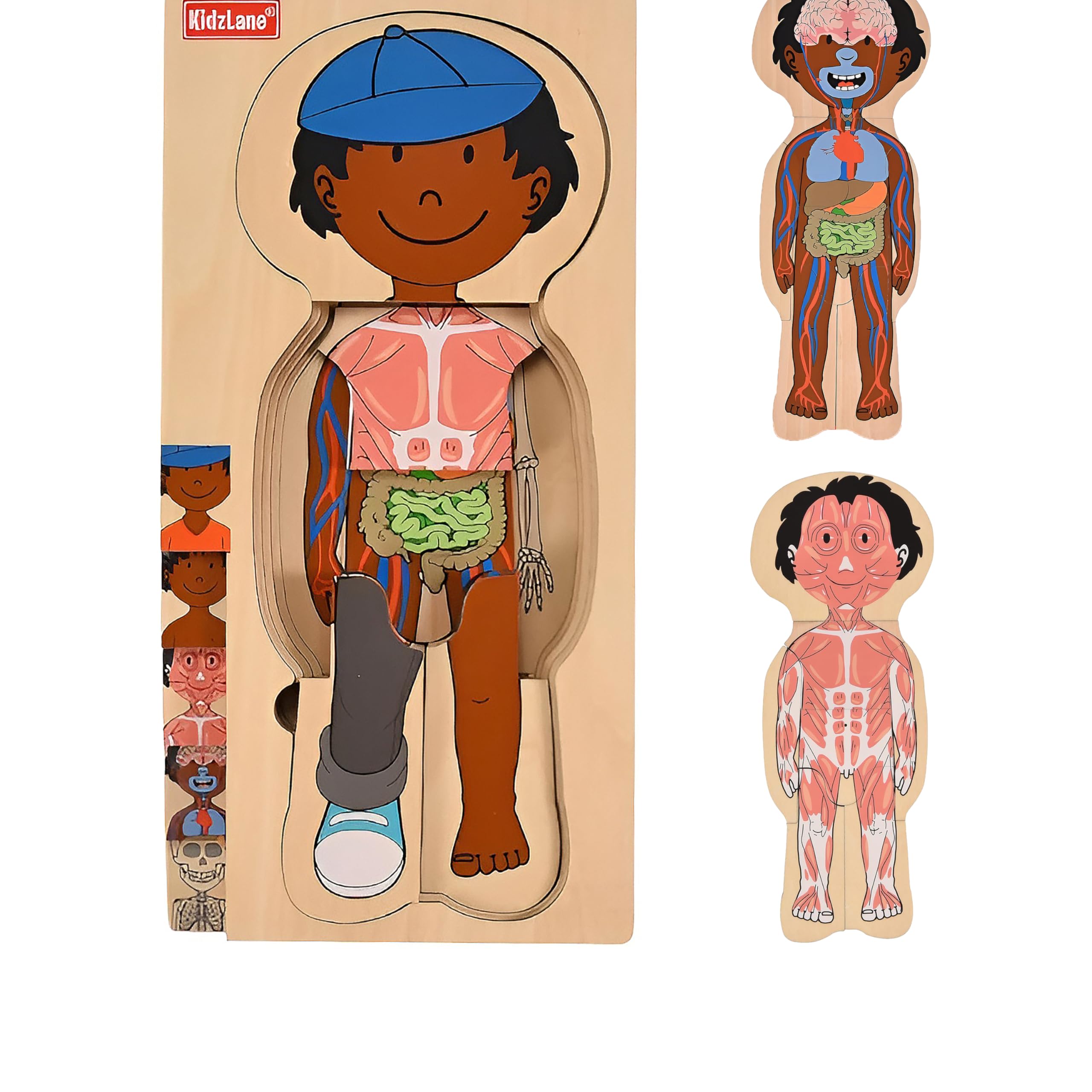 Kidzlane African American Boy Wooden Anatomy Puzzle for Toddlers & Kids - 29 Piece Educational Body Puzzle Set - Skeleton Learning Toy for Ages 3+ | STEM Learning, Preschool Classroom & Homeschool Activity