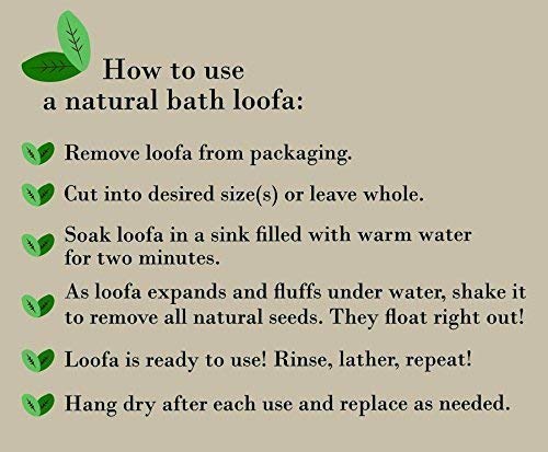 Organic Loofah Body Scrubber Pack of 12 - Natural Exfoliating Sponge for Men & Women - Eco-Friendly Luffa Bath Sponge for Smooth Skin - Perfect for Shower, Spa & Daily Skincare Routine