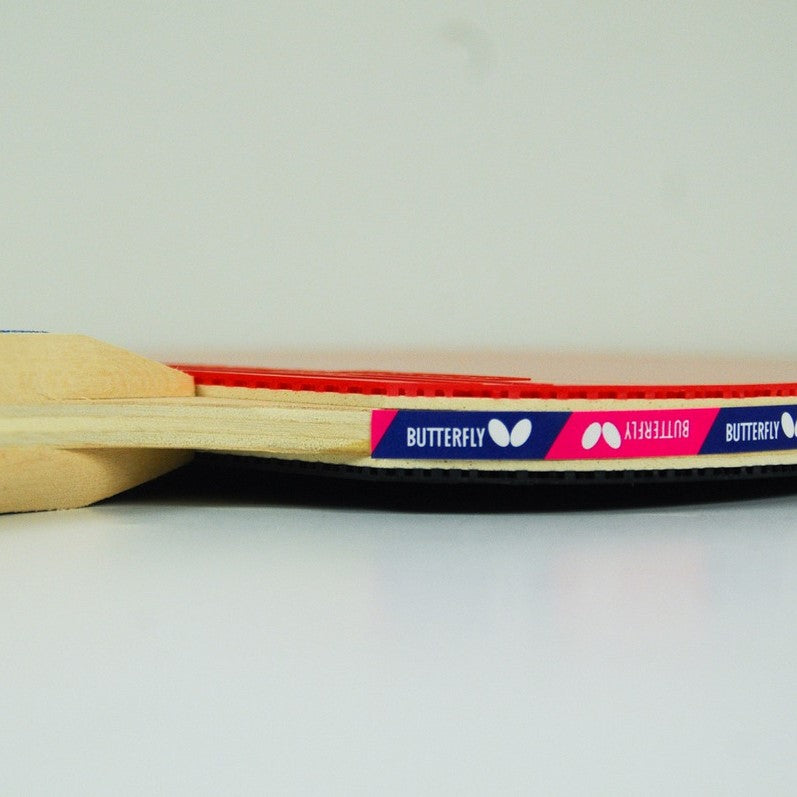 Butterfly Addoy 3000 Professional Table Tennis Racket - Premium Ping Pong Paddle for Competitive Play & Training - Perfect for Tournaments, Club Matches & Home Practice