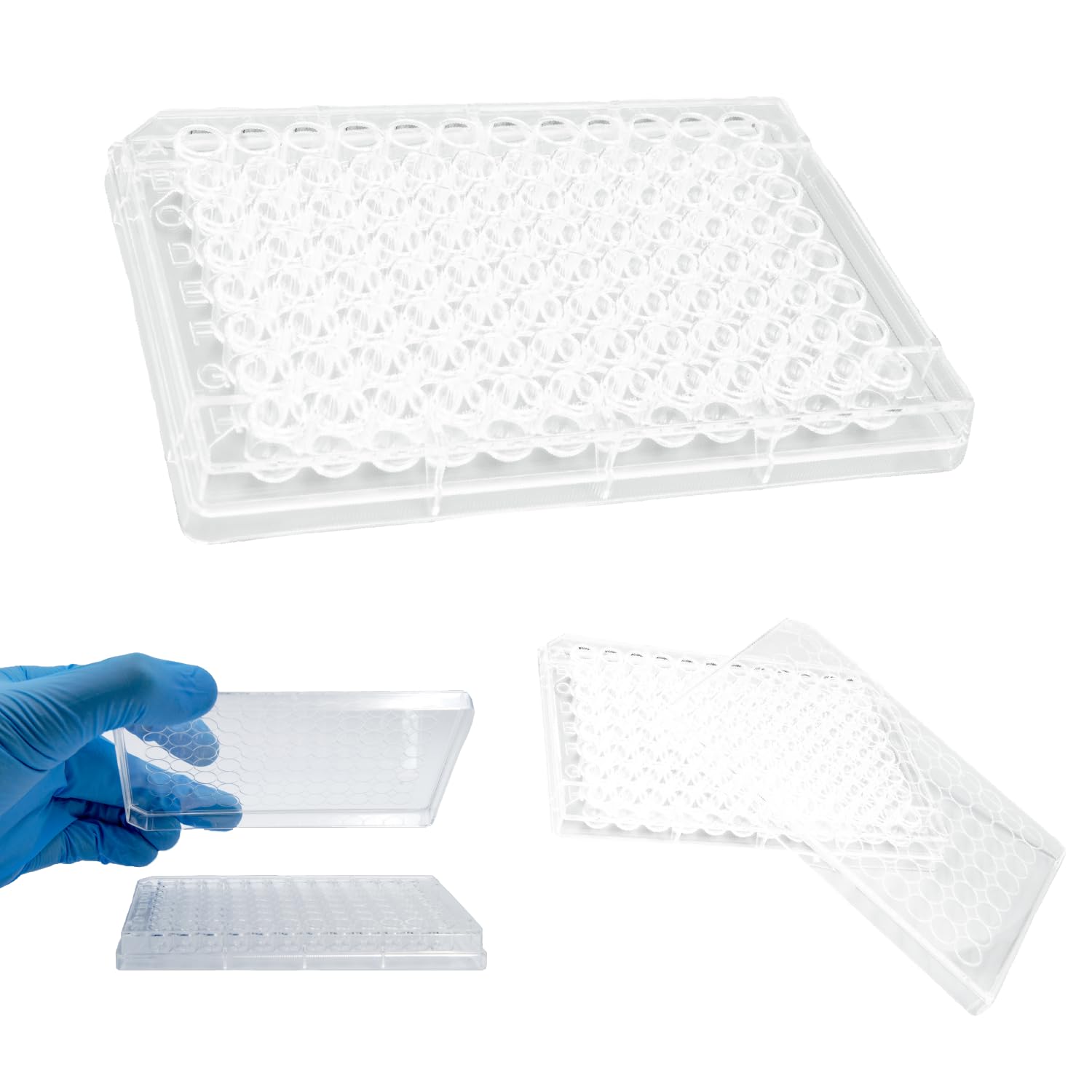 96-Well Polystyrene U-Bottom Microplate - Clear Sterile 96 Well Plates with Lids (Pack of 100) | Ideal for ELISA, Cell Culture & Laboratory Research - Kashi Scientific