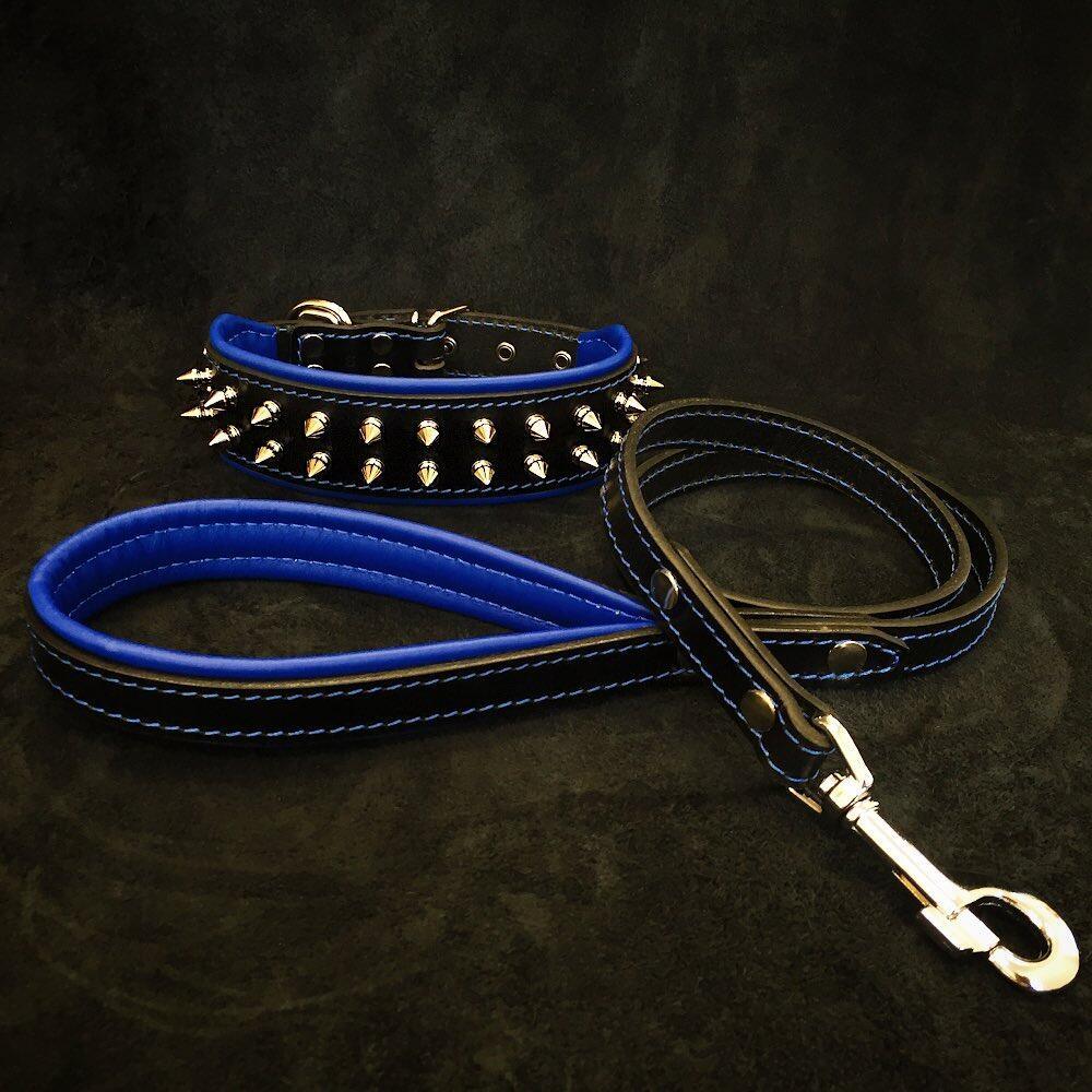 Premium Frenchie Dog Collar & Leash Set - Durable Blue Pet Accessories for French Bulldogs | Perfect for Walking, Training & Outdoor Adventures