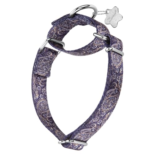 Paisley pattern