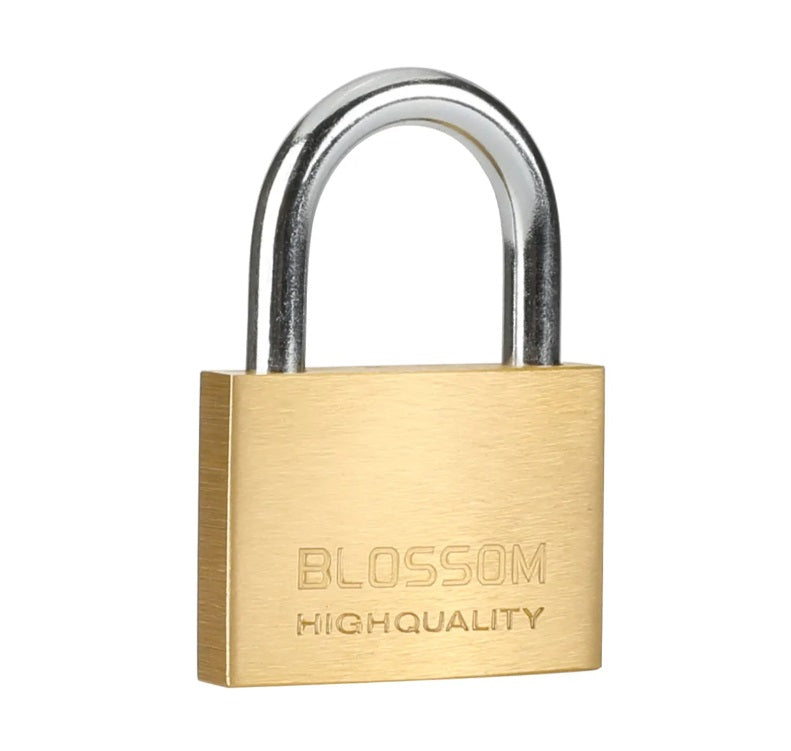 20mm Stainless Steel Padlock - Heavy Duty Security Lock for Gates, Lockers & Toolboxes - Weatherproof & Rustproof - Ideal for Outdoor & Industrial Use