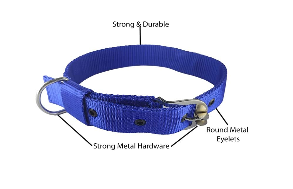 **JAPIN 1.25 Inch Comfortable Dog Collar Belts - 2 Pack Blue Adjustable Pet Neck Collar for Small Medium Dogs - Perfect for Daily Walks, Training & Outdoor Adventures**