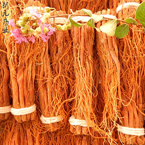 Premium Red Korean Ginseng Roots - Whole Root Pieces - 100g Authentic Red Panax Ginseng for Energy Boost & Immune Support - Perfect for Tea, Cooking & Natural Remedies