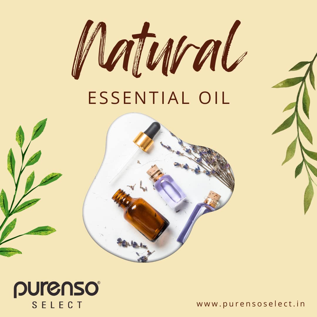 Purenso Select - 100% Pure Bergamot Essential Oil for Aromatherapy, 25ml - Relaxation, Stress Relief & Skin Care | Diffuser, Massage & DIY Beauty Products