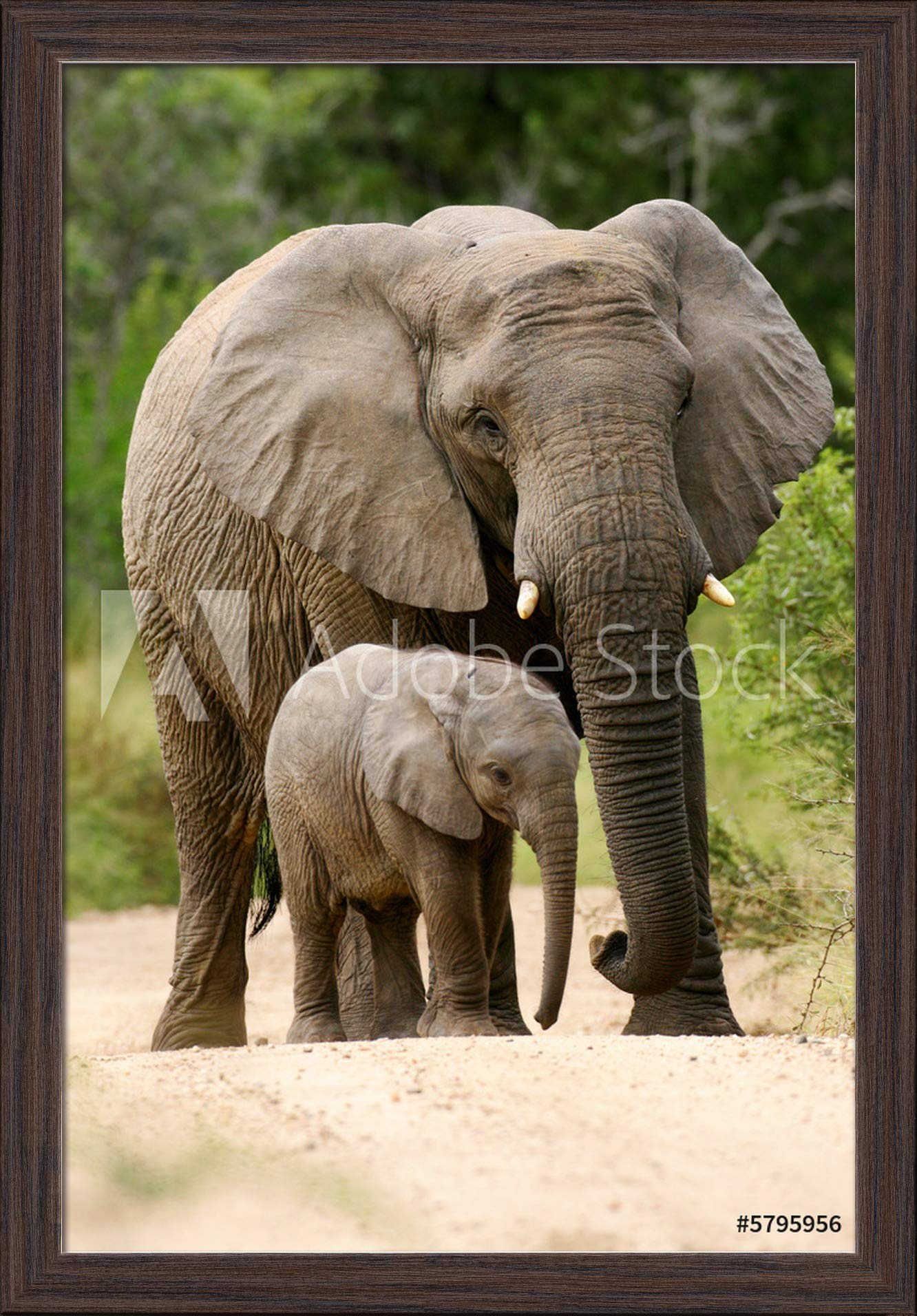 Big Elephant and Baby Elephant Fine Art Photography Print (16x24 Inches, Giclee on Canvas, Recycled Wood Frame in Espresso Brown) - Perfect for Nursery, Living Room Decor or Wildlife Art Collection