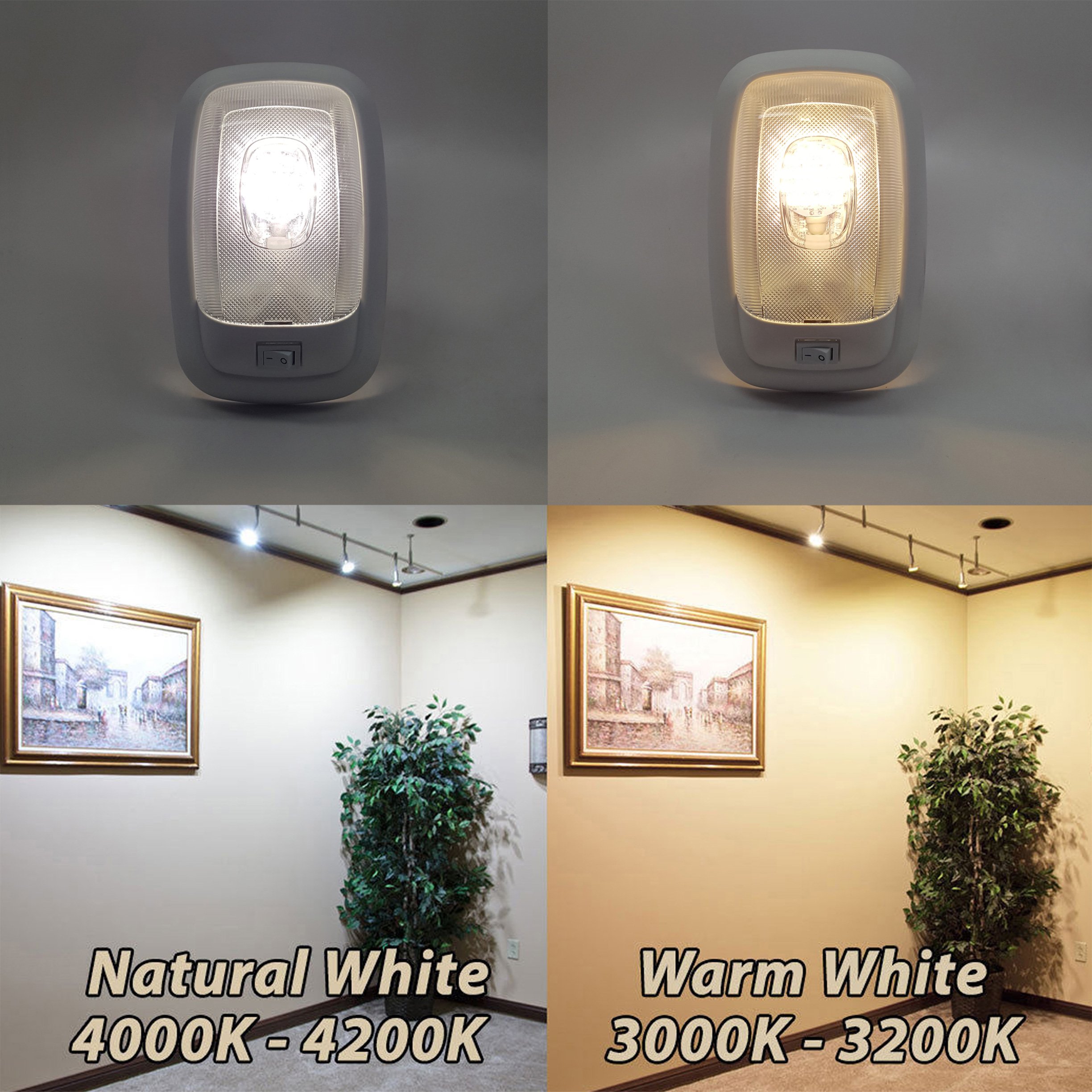 RecPro RV LED 12v 4200K White Dome Ceiling Light with Clear Lens - Single Fixture for Camper, Trailer & Motorhome - Perfect for Kitchen, Bathroom & Bedroom Lighting
