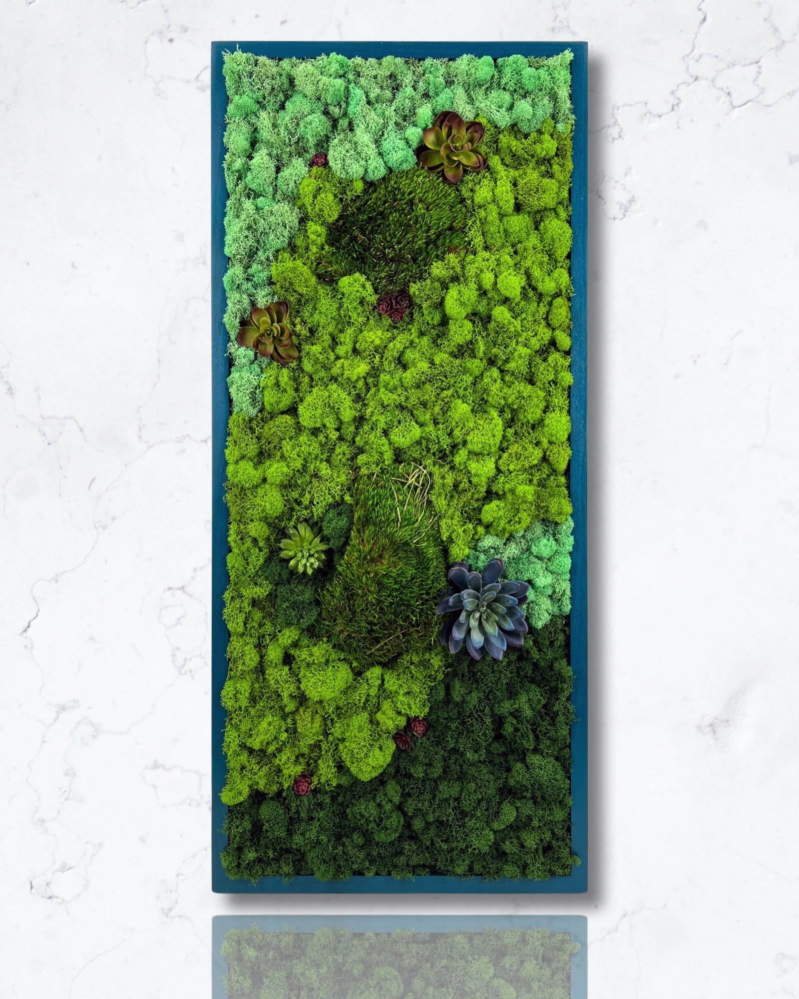 Preserved Mood & Pillow Moss Wall Art - Natural Home Decor for Living Room, Bedroom & Office - Eco-Friendly Botanical Art for Modern Spaces