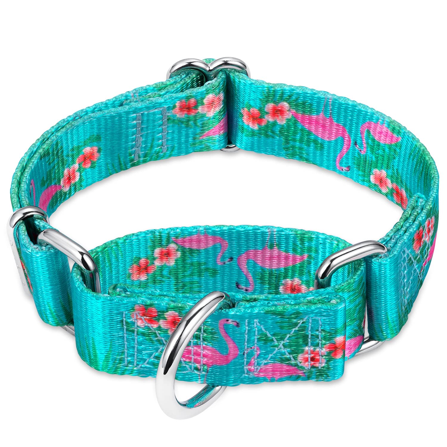 Martingale Dog Collar - Heavy Duty No-Buckle Training Collar for Small, Medium & Large Dogs | 5/8
