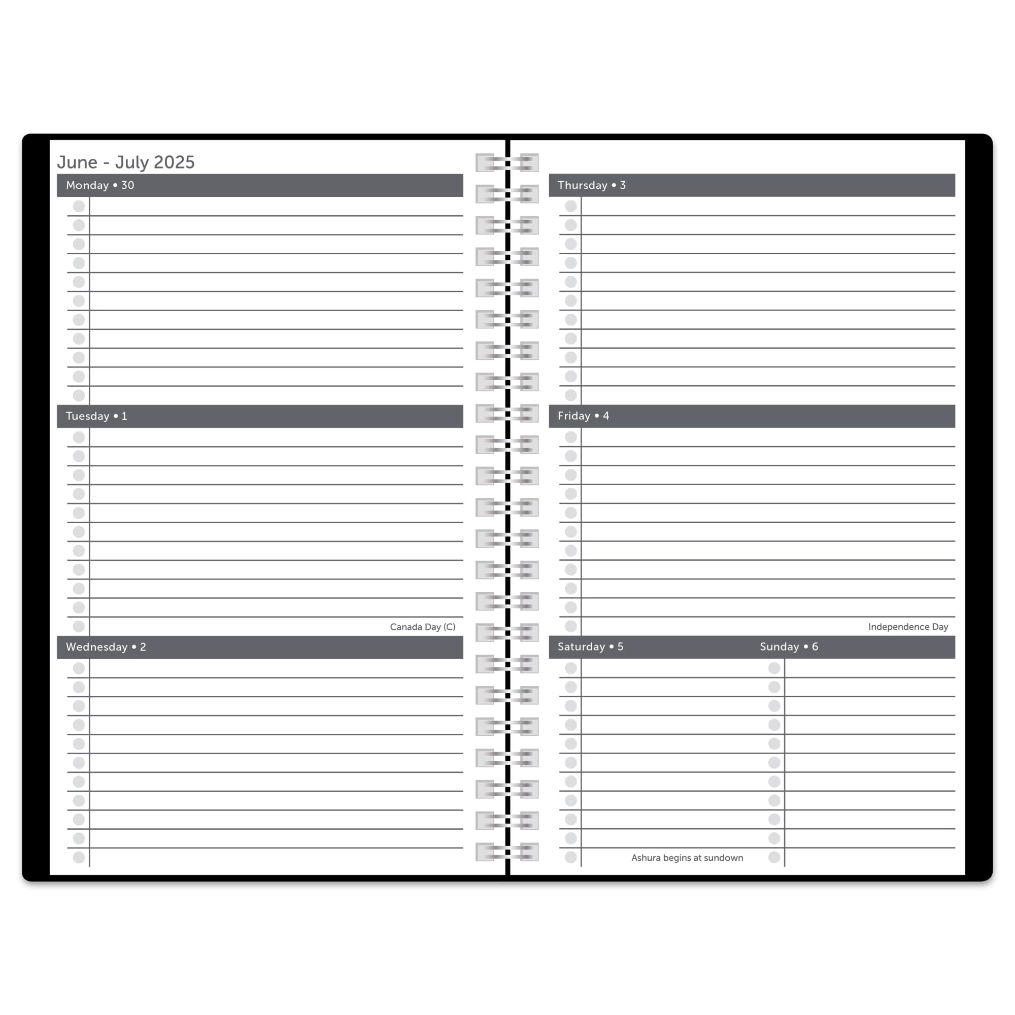 2025-2026 Office Depot Stellar Academic Planner - Weekly & Monthly Calendar, 5.5