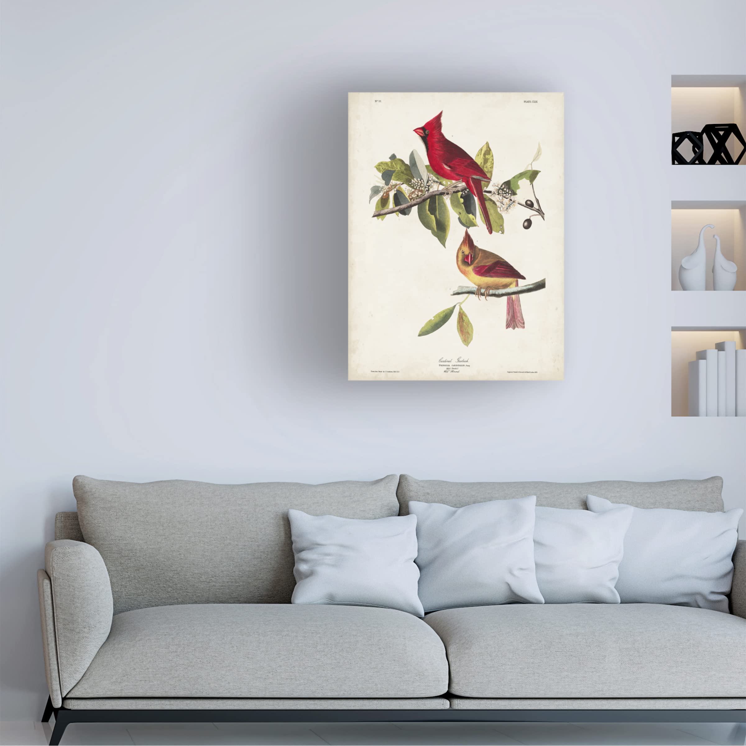 John James Audubon 'Cardinal Grosbeak' Fine Art Canvas Print - 35x47 Inches - Premium Wildlife Wall Decor for Living Room, Office & Bedroom