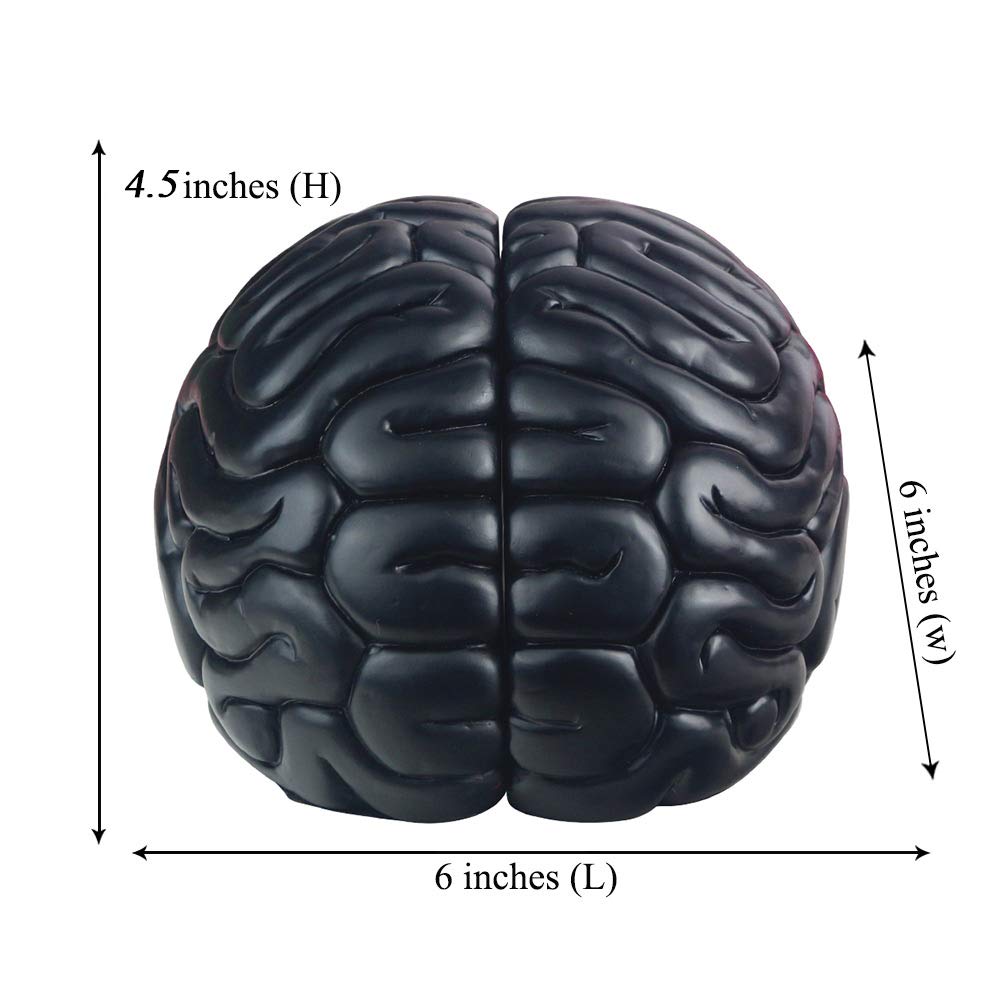 Decorative Brain Bookends - Heavy Duty Black Book Supports for Office, Home, Desk & Bookshelf - Unique Bookend Decor (6