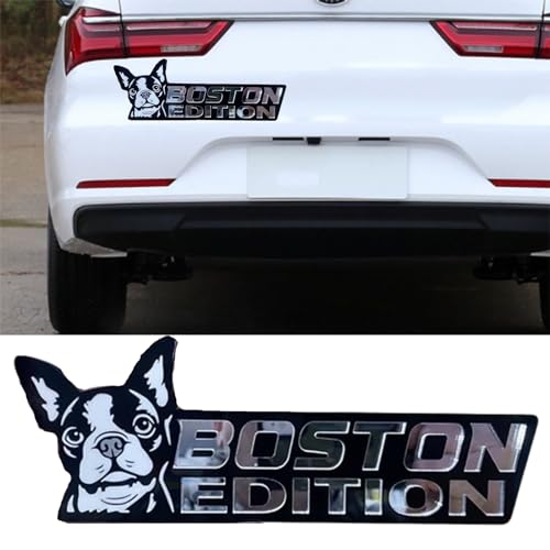 Boston Terrier