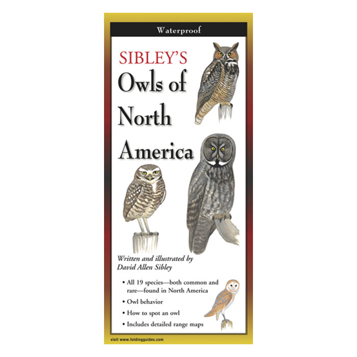 Sibley's Owls of North America Folding Guide - Bird Watching Field Guide for Nature Enthusiasts - Perfect for Hiking, Camping & Outdoor Adventures