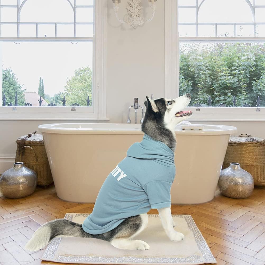 BINGPET Warm Fleece Dog Hoodie - Soft Brushed Winter Puppy Sweater with Hood, Cozy Pet Coat for Small Medium Dogs & Cats - Perfect for Cold Weather Walks & Indoor Comfort