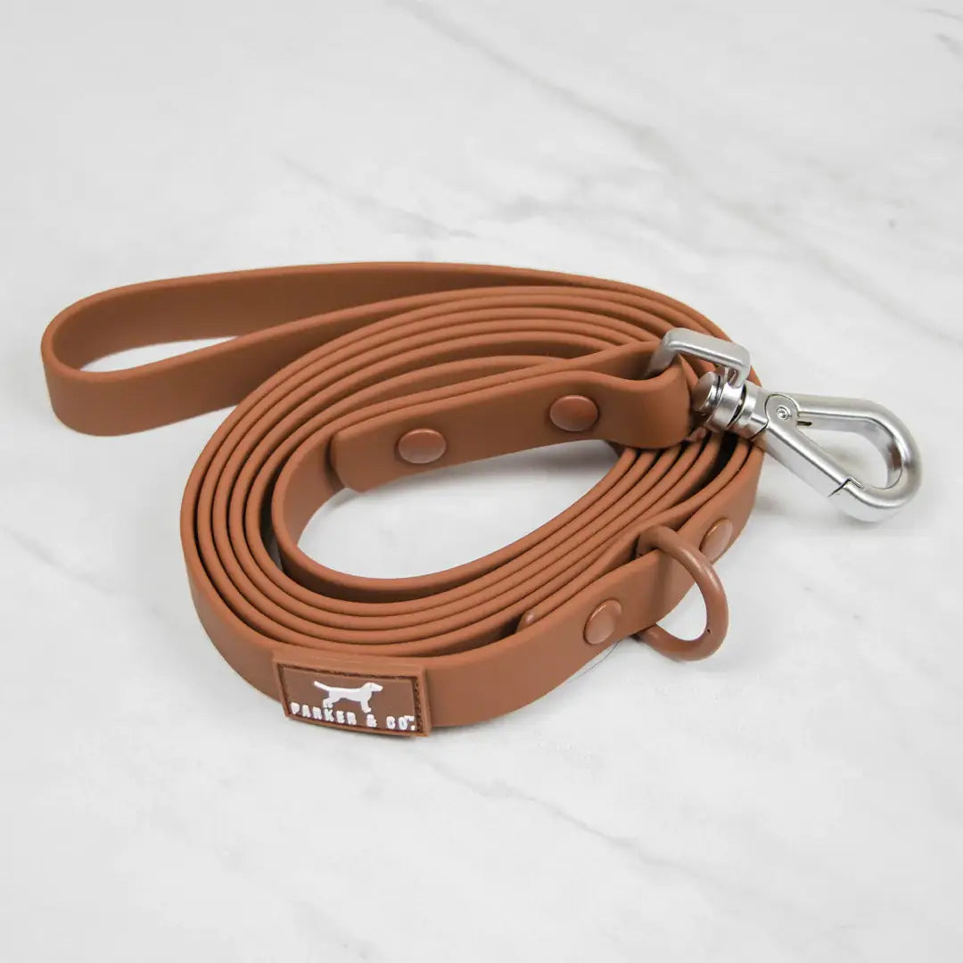 Premium Weatherproof Dog Leash - Heavy Duty Reflective Nylon Pet Leash for Large Medium Small Dogs - Perfect for Walking, Running, Hiking & Outdoor Adventures