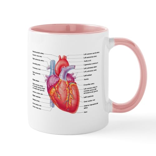 White/Pink Inside - Human Heart Mugs