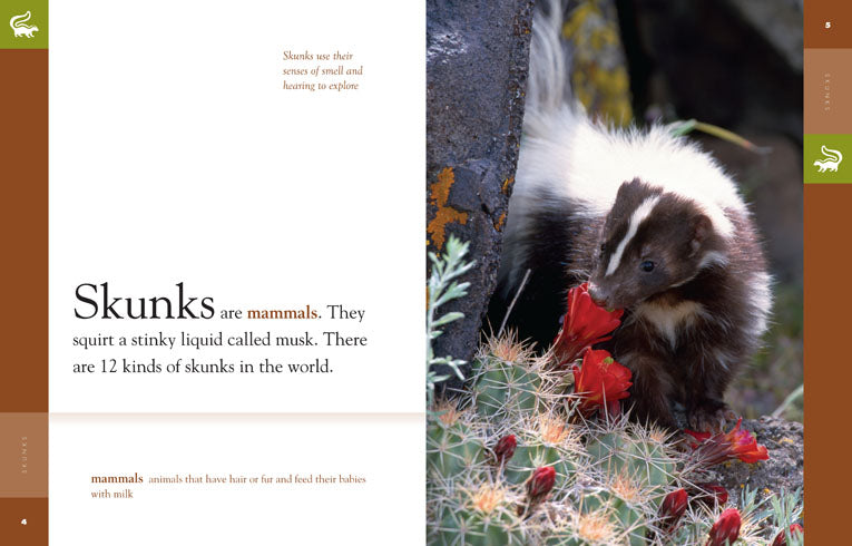 Amazing Animals (2014): Skunks - Fun & Educational Wildlife Documentary for Kids | Perfect for Homeschooling & Nature Learning