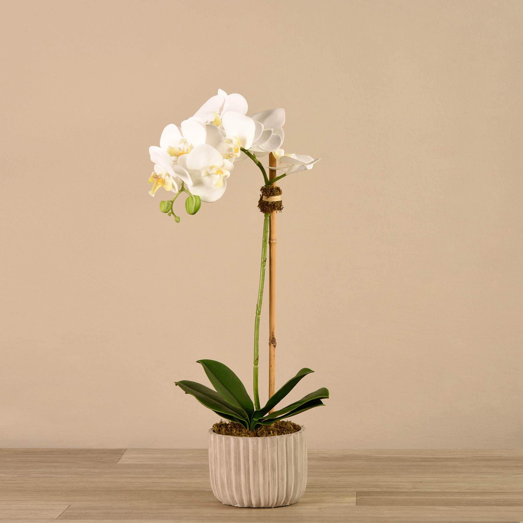 Luxury Artificial Silk Orchid Arrangement in Tan Striped Pot - 21