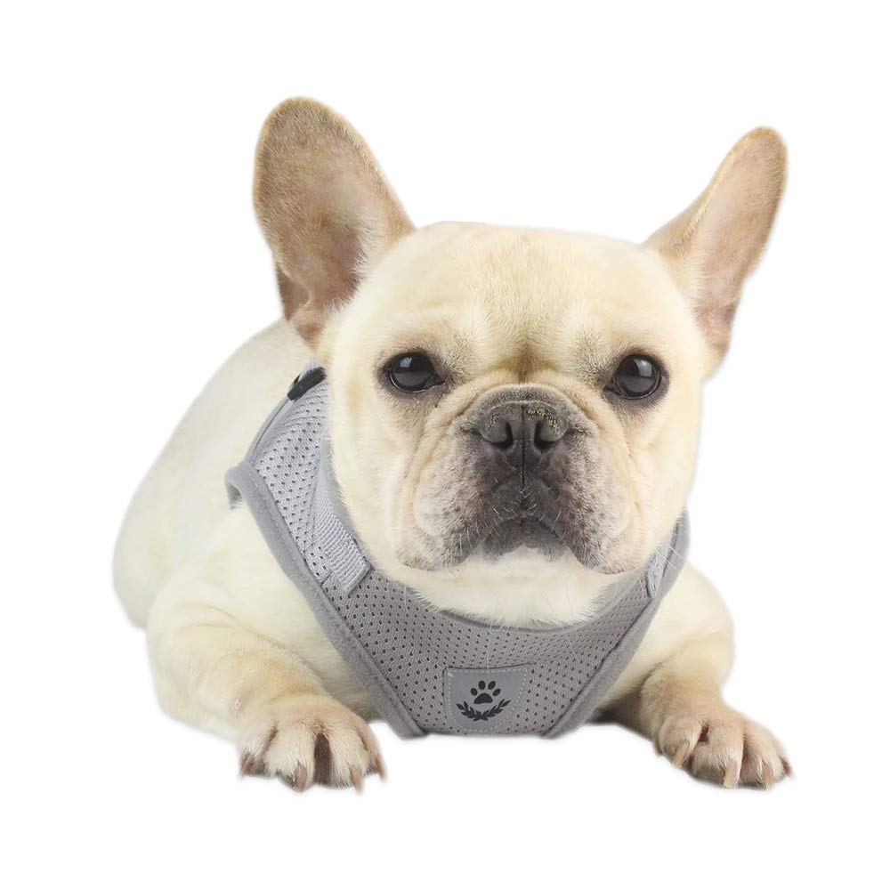 Reflective Adjustable Mesh Dog Harness & Leash Set - Soft Breathable Puppy Chest Strap for Small Dogs (Size S, Grey) - Perfect for Night Walks, Training & Outdoor Adventures