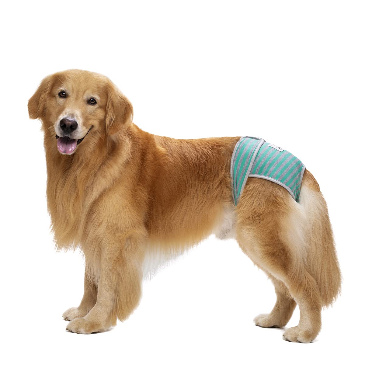 3 Pack Washable Reusable Dog Diapers for Female Dogs - Adjustable Velcro Waistline, Large Medium Breed, for Heat & Incontinence - Perfect for Indoor Use, Travel & Post-Surgery Care