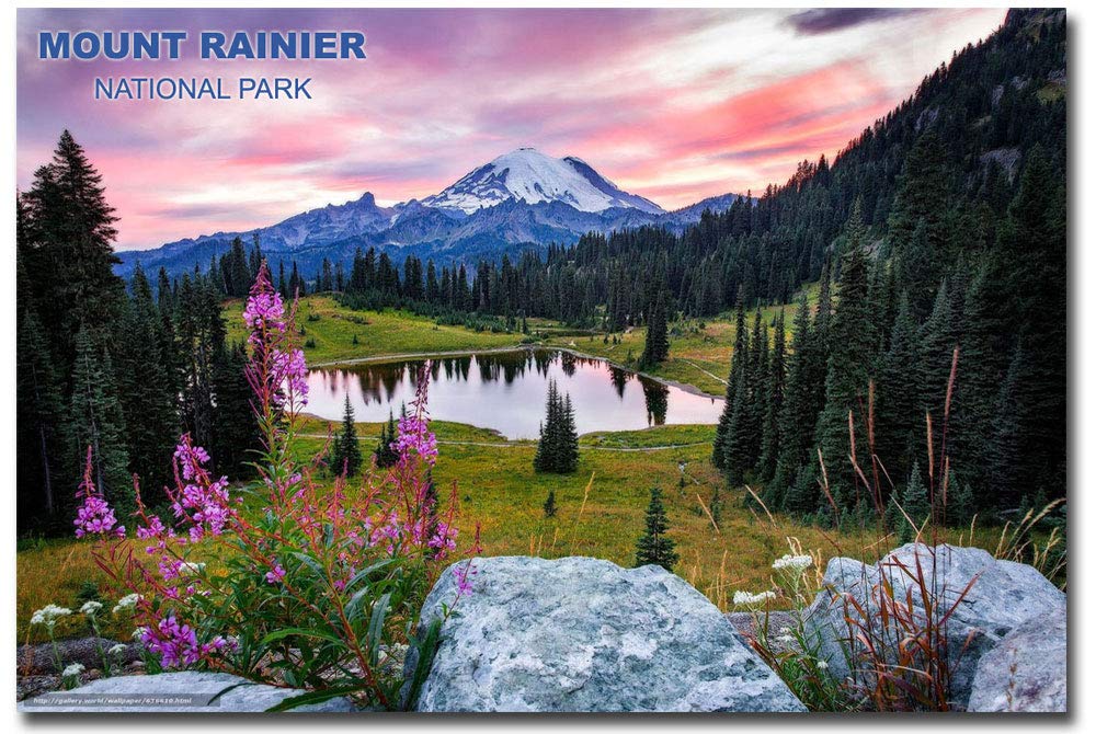 Mount Rainier National Park Scenic Travel Souvenir - 2.5