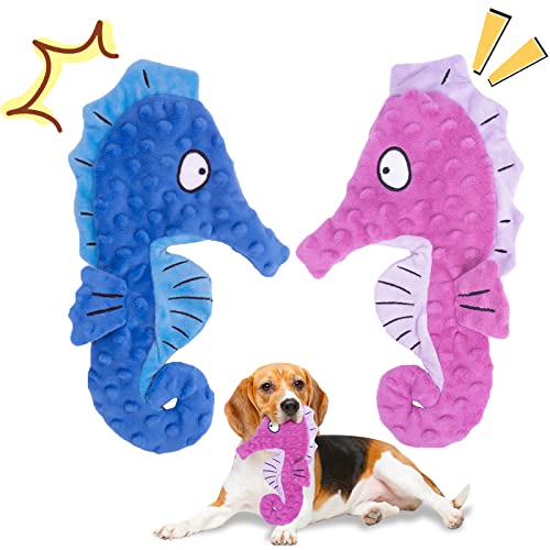 Seahorse Purple & Blue