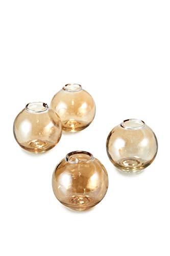 Amber, Set of 48