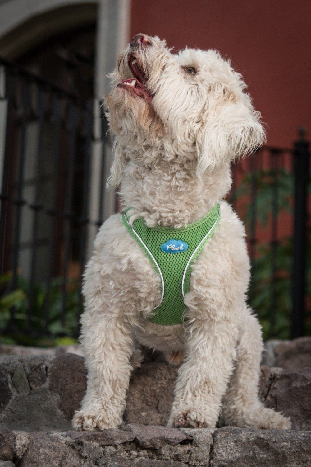 Breathable Mesh Dog Vest Harness - Soft Plush Pink Chewing Gum Color for Small Medium Large Dogs | Perfect for Walking, Hiking & Outdoor Adventures