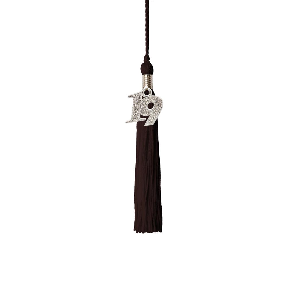 Kindergarten Graduation Tassel 2019 - Sparkling Bling Charm - Brown Tassel for Preschool & Elementary Graduation Ceremony, Party Decorations & Photo Props