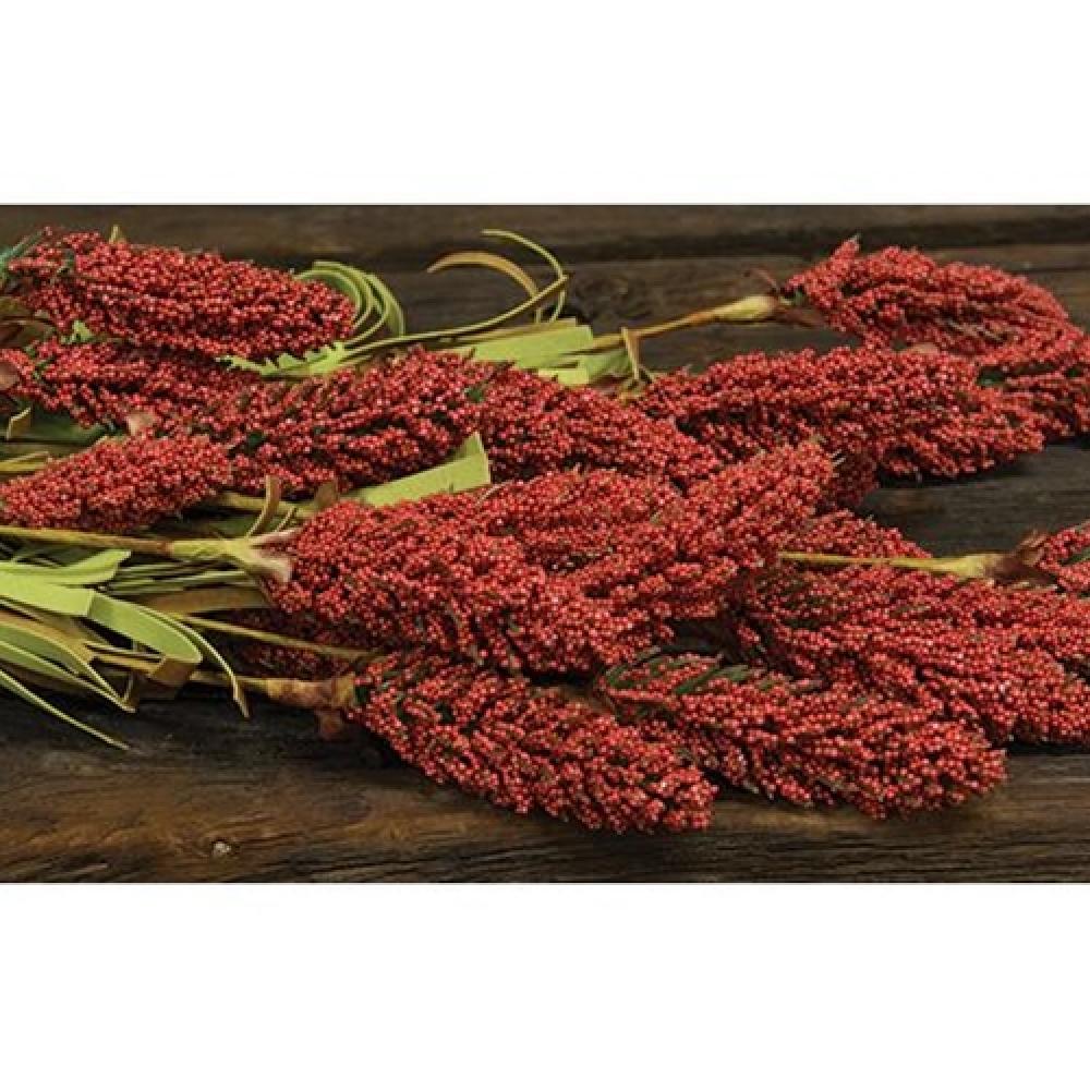 Organic Millet Heather Bush Orange 24 - Premium Natural Bird Food for Parrots, Finches & Canaries | Perfect for Aviaries, Bird Cages & Outdoor Feeders