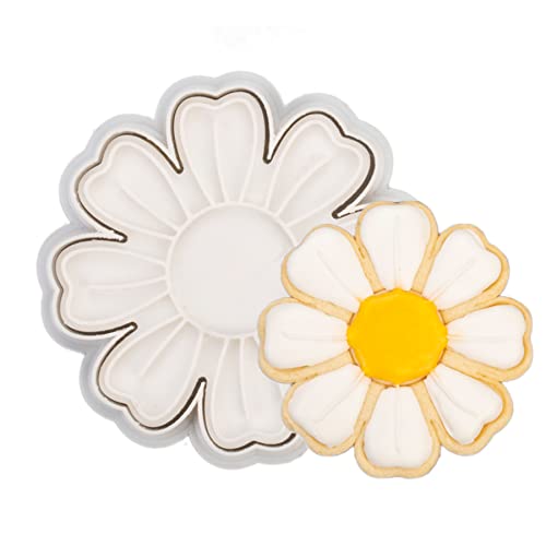 Chrysanthemum