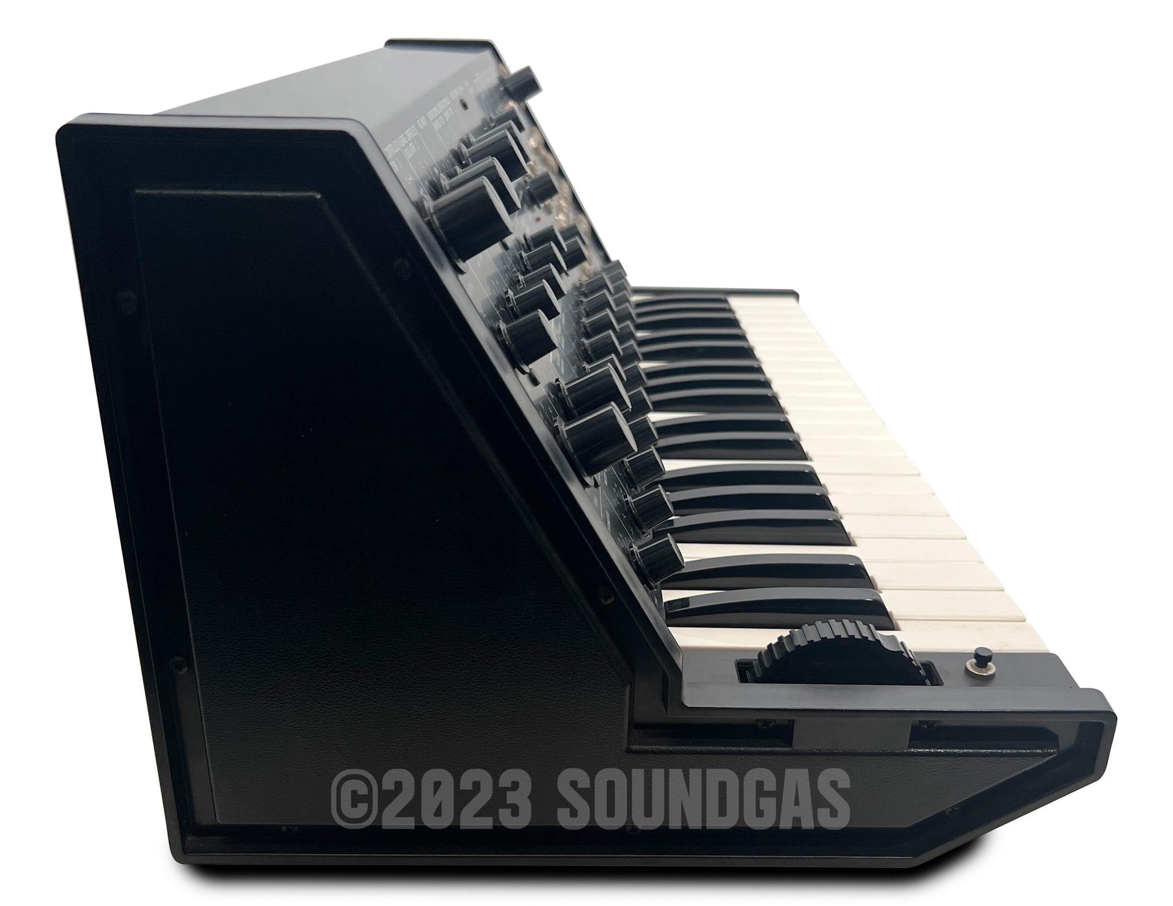 Korg MS-20 Mini Analog Synthesizer with Hard Case - Professional Music Production, Live Performance & Studio Recording