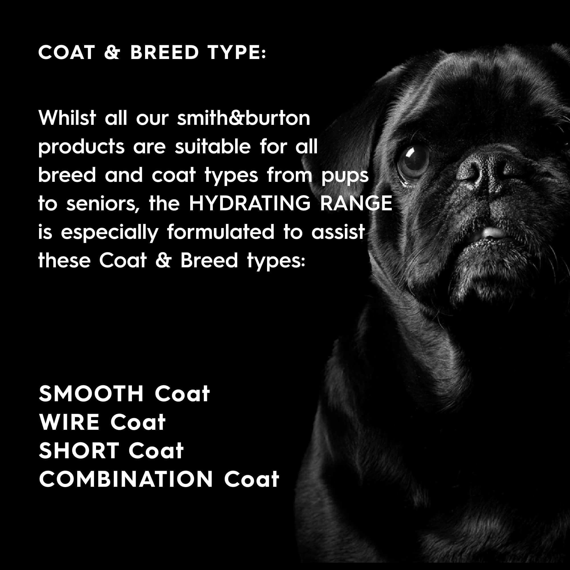 Smith & Burton Hydrating Conditioner for Dogs & Cats - Natural Kiwi, Aloe Vera, Coconut, Ginseng & Manuka Honey Formula | 16.9 Oz | No Harsh Chemicals | Deep Moisturizing Pet Hair Care | Perfect for Dry, Itchy Skin & Post-Bath Conditioning