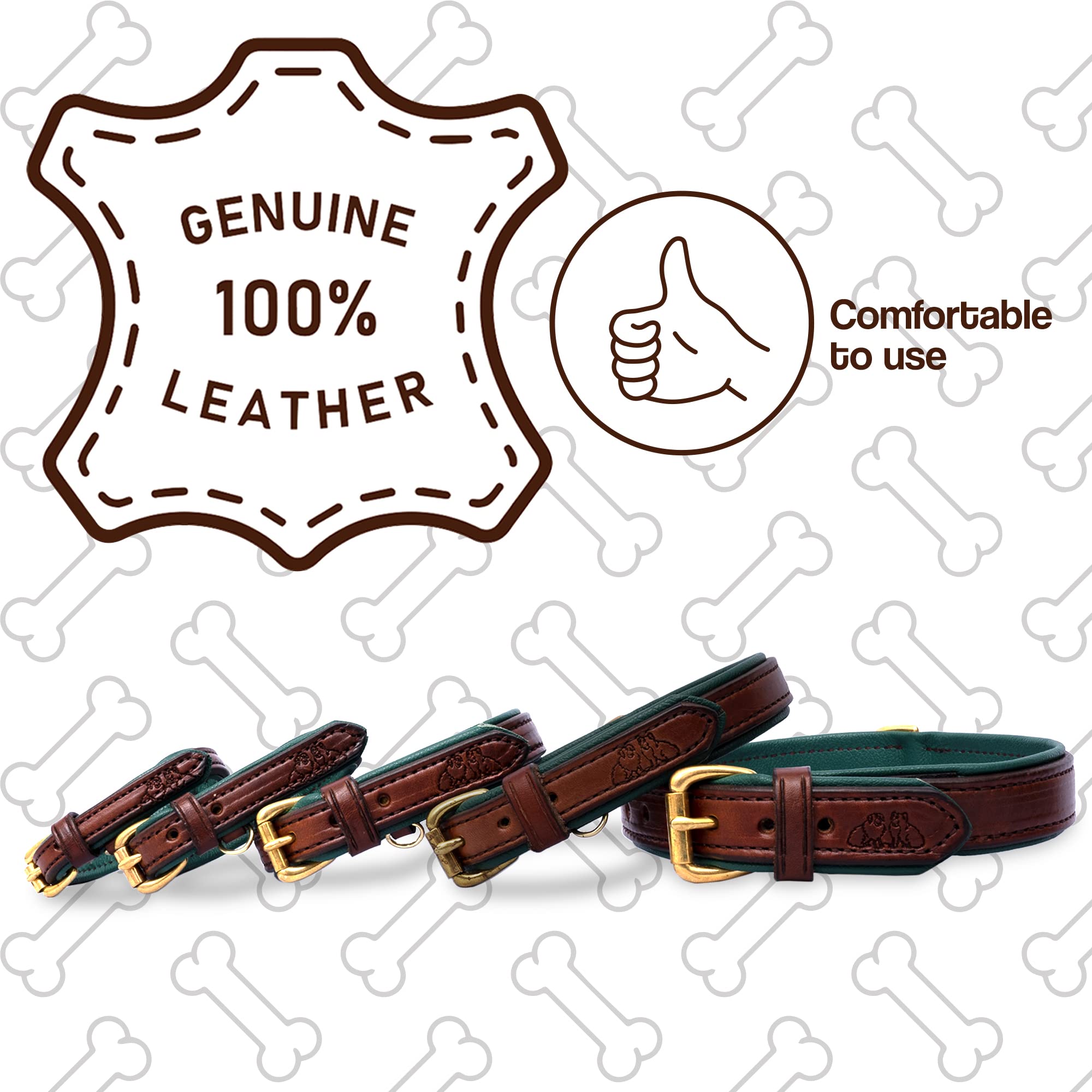 Premium Padded Leather Dog Collar with Brass Buckle - X-Small Size for Small Breeds | Comfortable & Durable Pet Accessory for Daily Walks, Training & Fashion