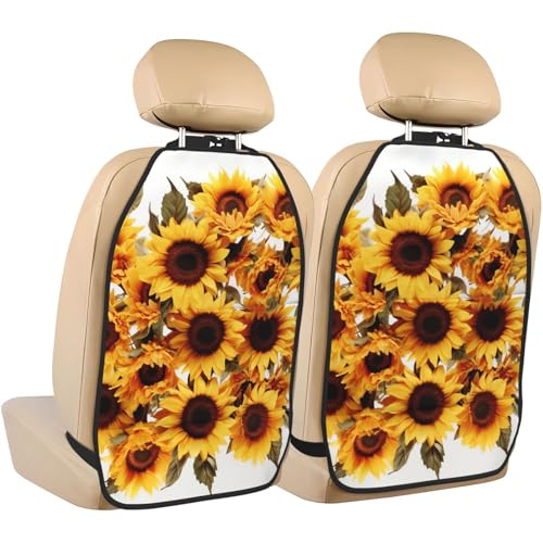 Sunflowers on White Background
