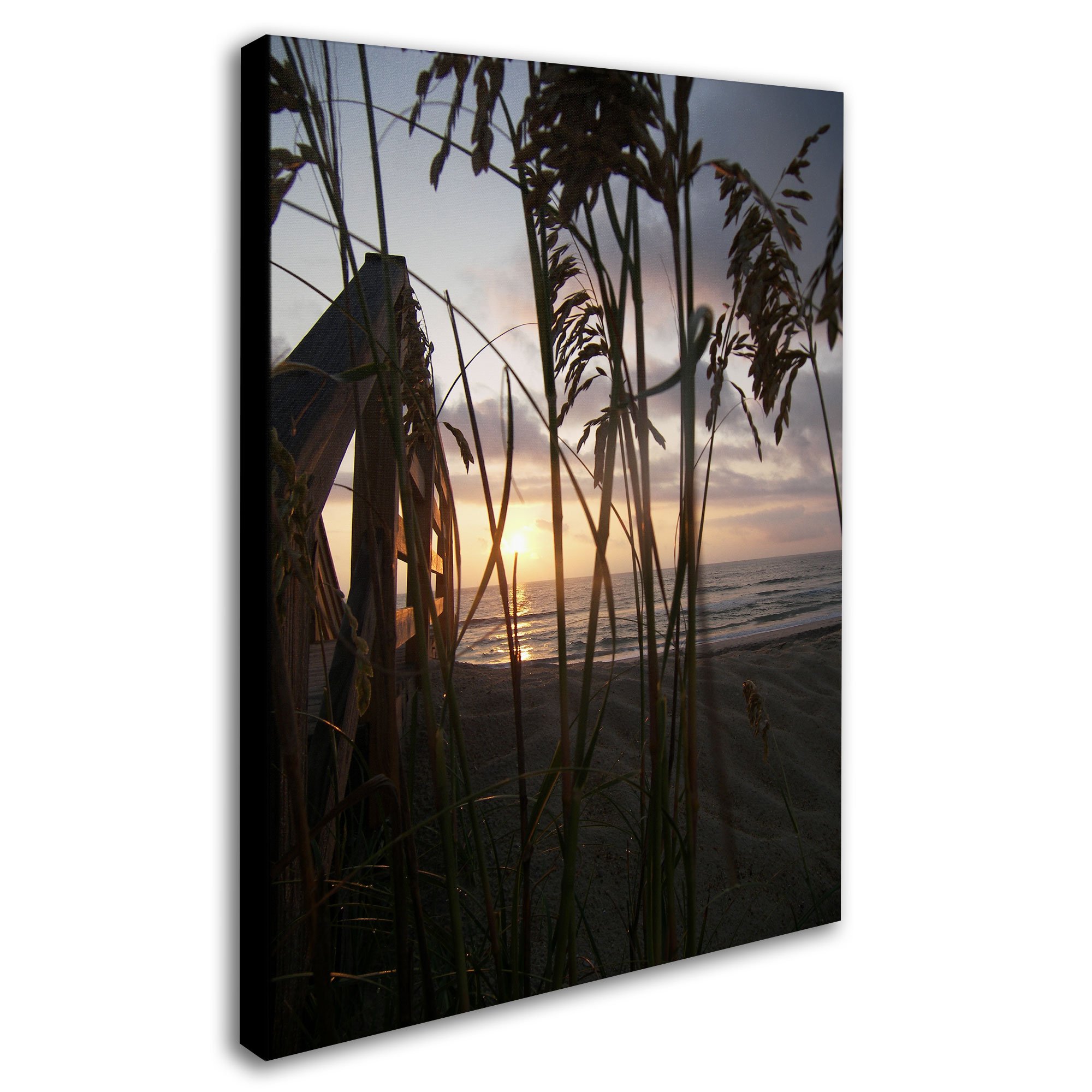 Monica Fleet Hidden Life Canvas Art - 35x47 Inch Modern Wall Decor for Living Room, Bedroom & Office | Trademark Fine Art