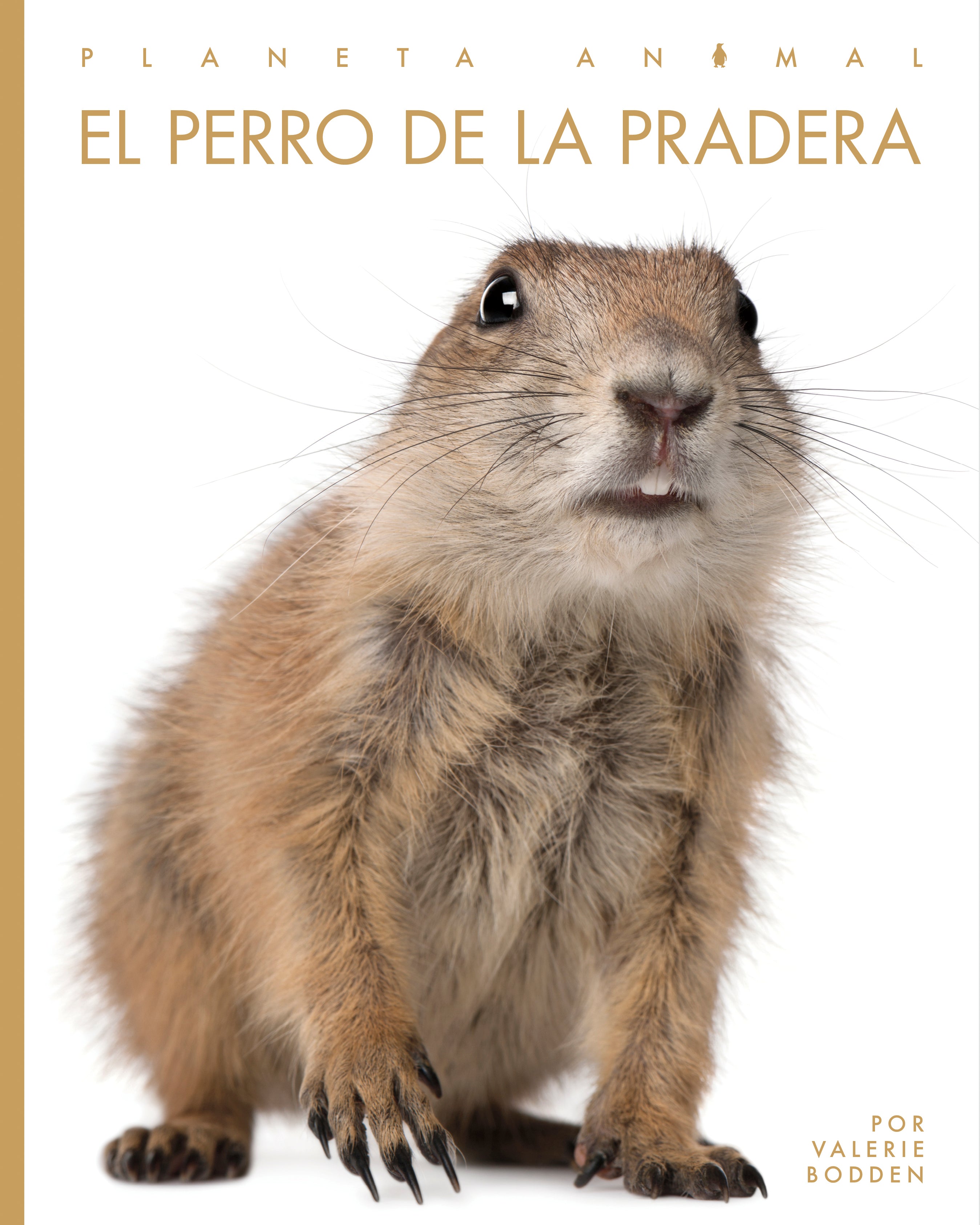 Prairie Dog Plush Toy - Cute Stuffed Animal for Kids, Gifts & Home Decor | Perfect for Playtime, Nursery & Collectors
