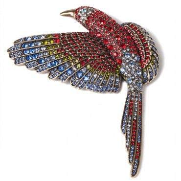 Heidi Daus Paradise Found Crystal Brooch - Exquisite Large Rhinestone Pin for Women, Luxury Fashion Accessory (Retail $199) | Perfect for Evening Gowns, Weddings & Special Occasions