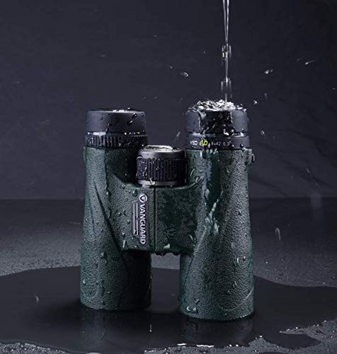 Vanguard VEO ED 8x42 Lightweight Binoculars with ED Glass - Waterproof & Fogproof HD Optics for Bird Watching, Hunting, Hiking and Outdoor Adventures