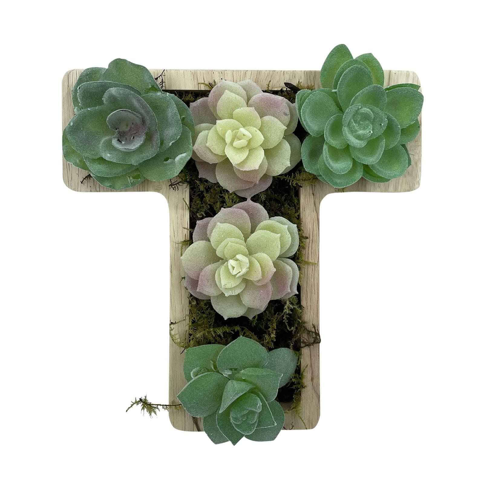 Stylish Indoor Plant Pots - Cute Succulent & Flower Planters for Home, Patio, Garden, Kitchen Decor | Perfect Gift for Kids & Plant Lovers | Ideal for Small Plants, Herbs, and Creative Displays