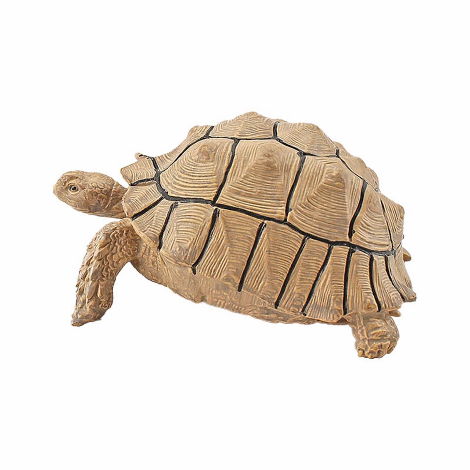 **Miniature Turtle Animal Figures - Realistic Reptile Toys for Kids, Party Decorations & Educational Gifts (1 Year+) - Perfect for Playtime, Birthday Parties & Learning Activities**