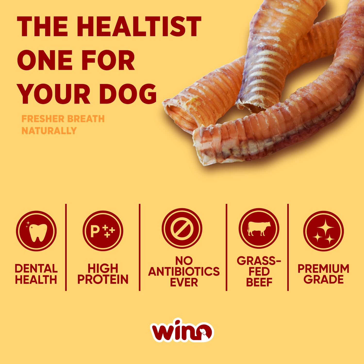Premium Bully Sticks for Dogs - 5 Pack of 4 Inch All-Natural Beef Chews | 100% Digestible, Odor-Free, High Protein Dog Treats | Supports Dental Health & Reduces Destructive Chewing | Perfect for Training Rewards, Teething Puppies & Anxious Dogs