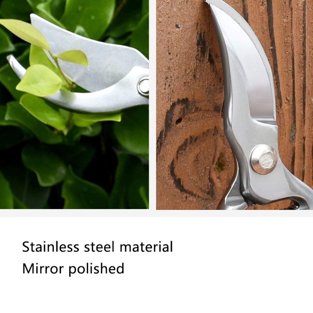 Premium Stainless Steel Gardening Shears with Fraxinus Mandshurica Wooden Handle - Sharp, Labor-Saving Pruning Shears for Bonsai, Flowers & Plants - Ideal for Home Gardeners & Professional Landscaping Tools