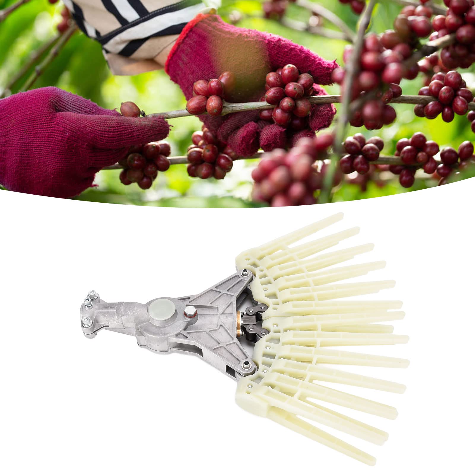 26mm 9T Rake Coffee Bean Harvester - Durable Cocoa & Olive Picking Tool with Replacement Tines - Perfect for Garden, Farm, and Orchard Harvesting Accessories